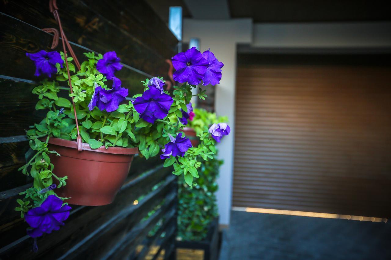 Armada Villa Hotel Baku Exterior photo
